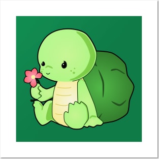 Kawaii Turtle Posters and Art